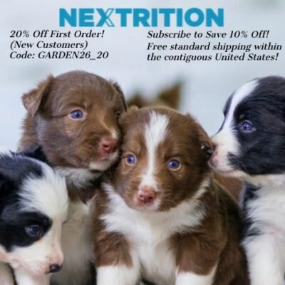 Nextrition offers a better way to feed your pup. Good real, wholesome food gently prepared to support your dog’s digestion, immune system, and their overall health. That means they're keeping all the good stuff in the nutrients, the flavors, the works.