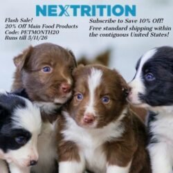 Nextrition offers a better way to feed your pup. Good real, wholesome food gently prepared to support your dog’s digestion, immune system, and their overall health. That means they're keeping all the good stuff in the nutrients, the flavors, the works.