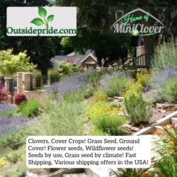 Outsidepride offers premium-grade bulk grass seed for landscaping, gardening, farming, and more. With over 1,500 seed varieties, high germination rates, and low bulk pricing, you'll find exactly what you need for your farm, landscape, lawn, or garden.